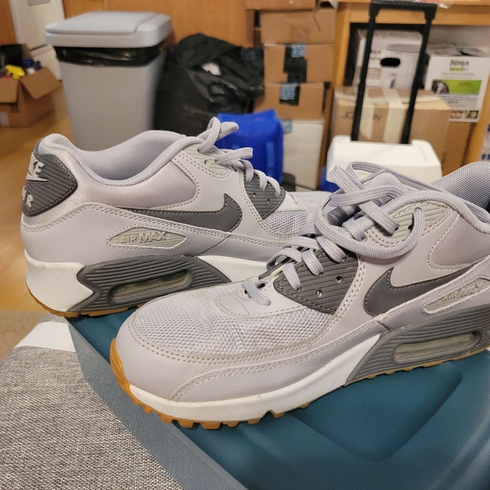 Nike Air Max Light Gray Sneakers